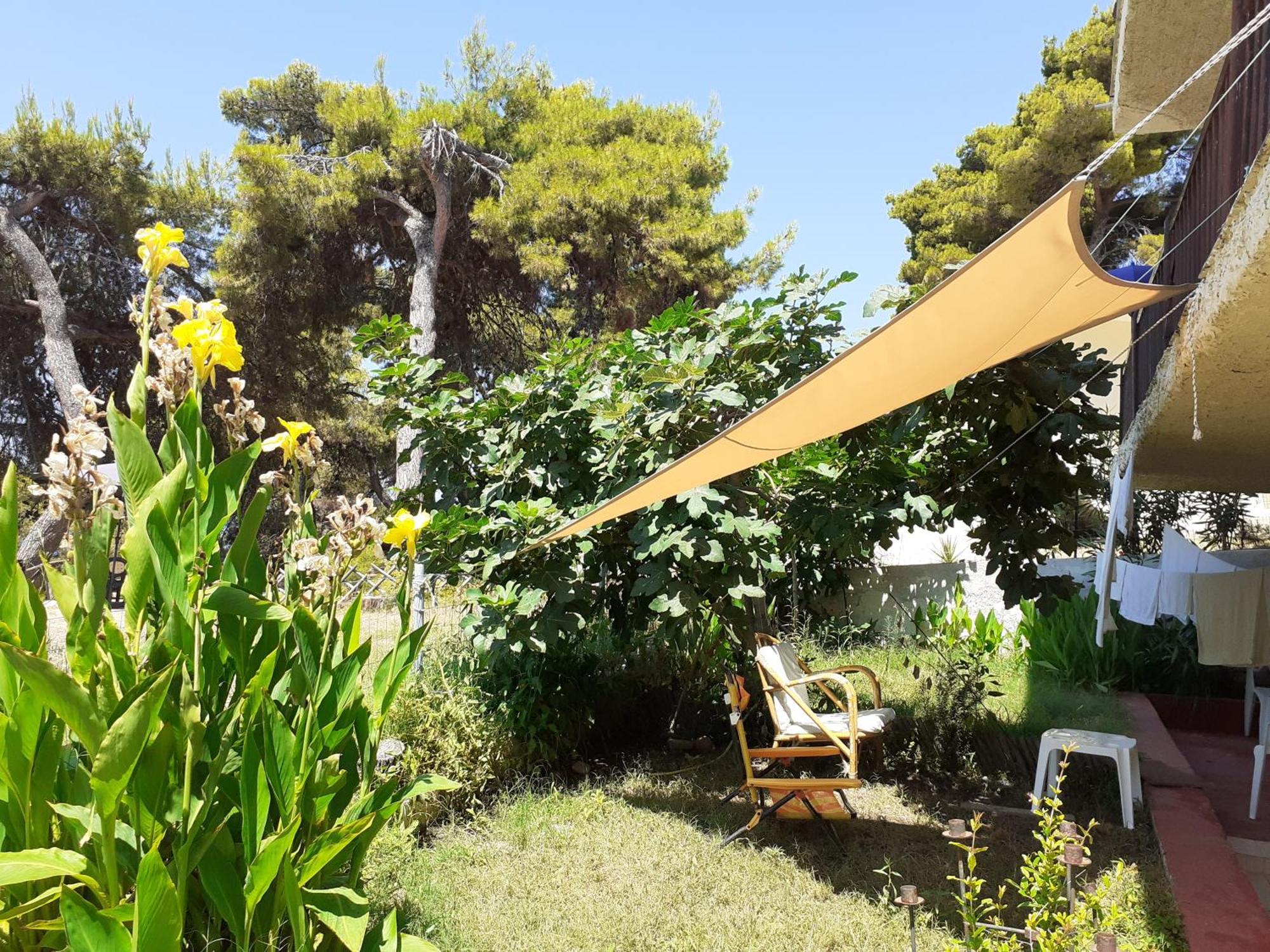 Traditional Guest House Aya Paraskevi Dış mekan fotoğraf
